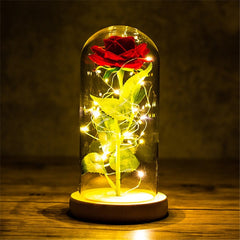 LED Enchanted Galaxy Rose Eternal 24K Gold Foil Flower with String Lights In Dome for Home Decor