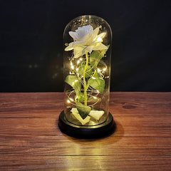 LED Enchanted Galaxy Rose Eternal 24K Gold Foil Flower with String Lights In Dome for Home Decor