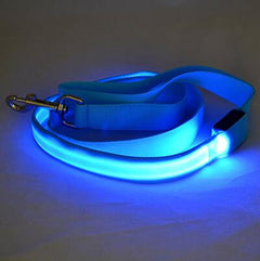 Glow In Dark Dog Collar