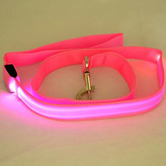 Glow In Dark Dog Collar