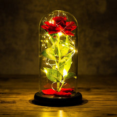 LED Enchanted Galaxy Rose Eternal 24K Gold Foil Flower with String Lights In Dome for Home Decor