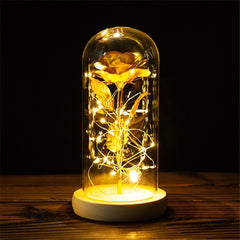 LED Enchanted Galaxy Rose Eternal 24K Gold Foil Flower with String Lights In Dome for Home Decor