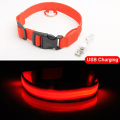 USB Charging Led Dog Collar Anti-Lost/Avoid Car Accident Collar