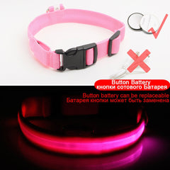 USB Charging Led Dog Collar Anti-Lost/Avoid Car Accident Collar