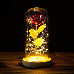 LED Enchanted Galaxy Rose Eternal 24K Gold Foil Flower with String Lights In Dome for Home Decor