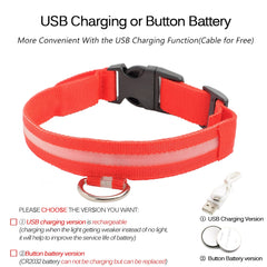 USB Charging Led Dog Collar Anti-Lost/Avoid Car Accident Collar