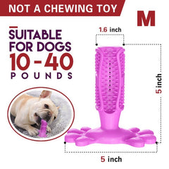 Meat-Flavored Dog Toothbrush