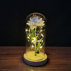 LED Enchanted Galaxy Rose Eternal 24K Gold Foil Flower with String Lights In Dome for Home Decor