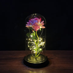 LED Enchanted Galaxy Rose Eternal 24K Gold Foil Flower with String Lights In Dome for Home Decor