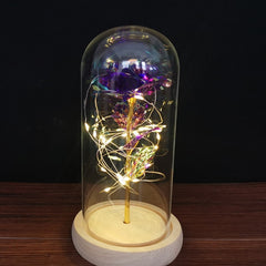 LED Enchanted Galaxy Rose Eternal 24K Gold Foil Flower with String Lights In Dome for Home Decor