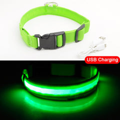 USB Charging Led Dog Collar Anti-Lost/Avoid Car Accident Collar