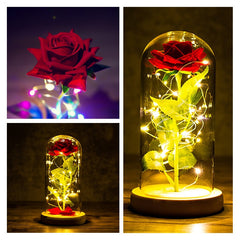 LED Enchanted Galaxy Rose Eternal 24K Gold Foil Flower with String Lights In Dome for Home Decor