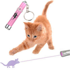 Cat Toy Laser Pointer