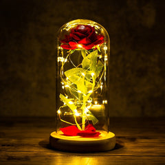 LED Enchanted Galaxy Rose Eternal 24K Gold Foil Flower with String Lights In Dome for Home Decor