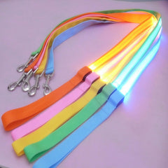 Glow In Dark Dog Collar