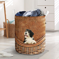 Polish Lowland Sheepdog - Rattan - LB