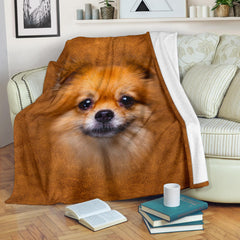 Pomeranian Face Hair Blanket