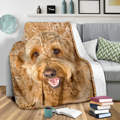 Goldendoodle - Blanket - 1306