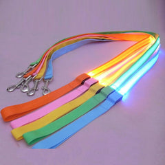 LED Pet Cat Dog LED Leash Safety Glow Leash