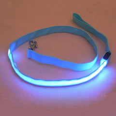 LED Pet Cat Dog LED Leash Safety Glow Leash