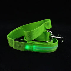 LED Pet Cat Dog LED Leash Safety Glow Leash