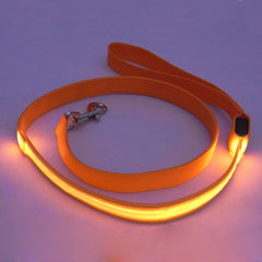 LED Pet Cat Dog LED Leash Safety Glow Leash