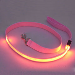 LED Pet Cat Dog LED Leash Safety Glow Leash