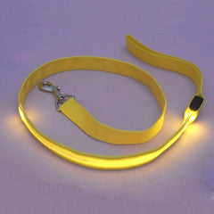 LED Pet Cat Dog LED Leash Safety Glow Leash