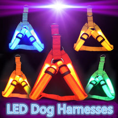 LED Dog Harness - Special Offer