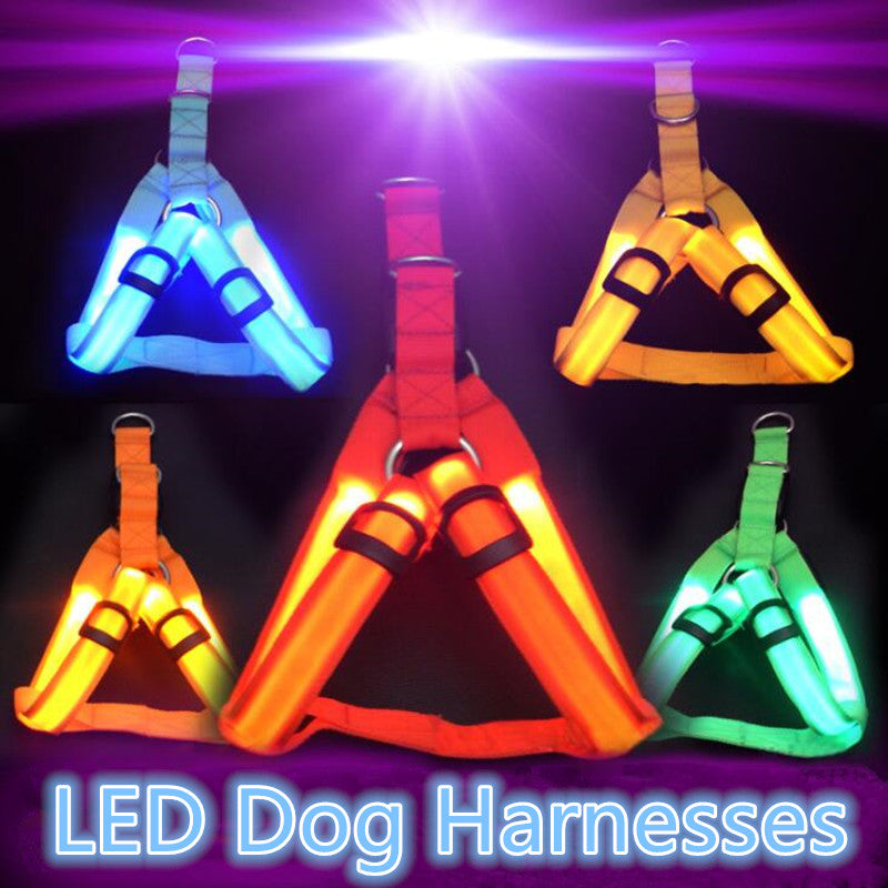 LED Dog Harness - Special Offer