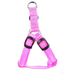 LED Dog Harness - Special Offer