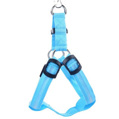 LED Dog Harness - Special Offer