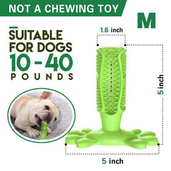 Toothbrush For Dog